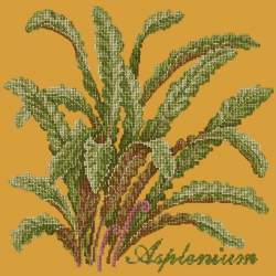 Elizabeth Bradley, Shade Garden, ASPLENIUM - 16x16 pollici Elizabeth Bradley - 13