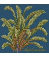 Elizabeth Bradley, Shade Garden, ASPLENIUM - 16x16 pollici Elizabeth Bradley - 16