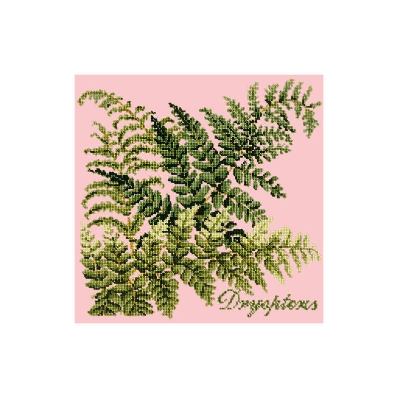 Elizabeth Bradley, Shade Garden, DRYOPTERIS - 16x16 pollici Elizabeth Bradley - 2