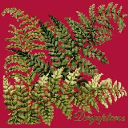 Elizabeth Bradley, Shade Garden, DRYOPTERIS - 16x16 pollici Elizabeth Bradley - 4