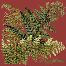 Elizabeth Bradley, Shade Garden, DRYOPTERIS - 16x16 pollici Elizabeth Bradley - 5
