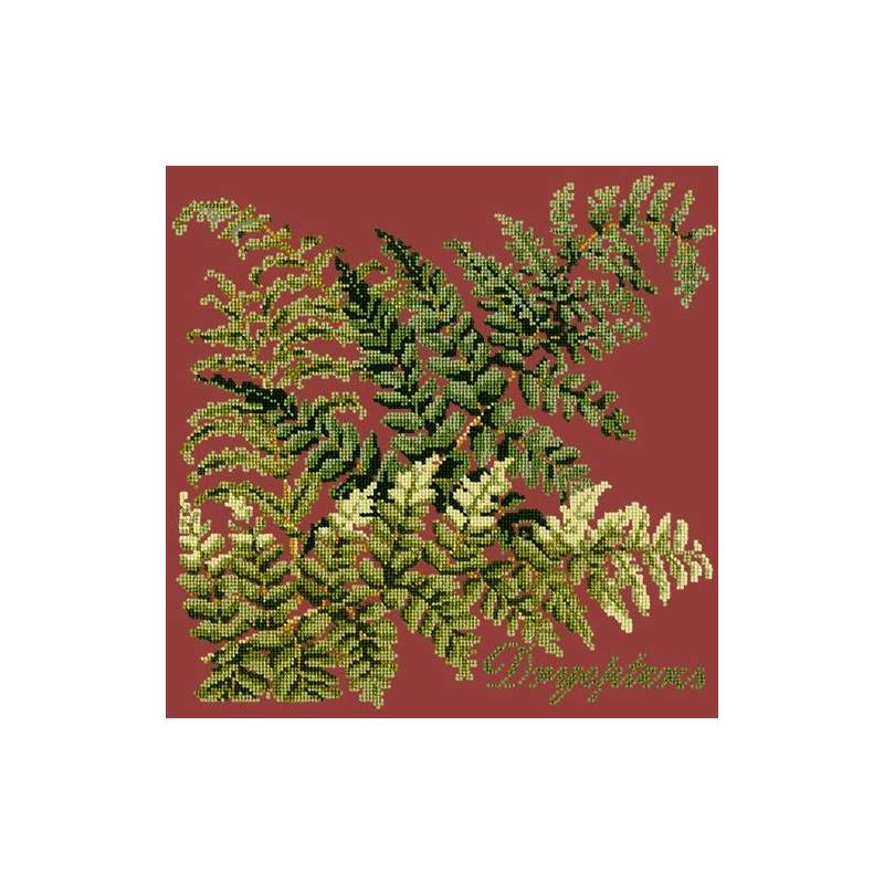 Elizabeth Bradley, Shade Garden, DRYOPTERIS - 16x16 pollici Elizabeth Bradley - 5