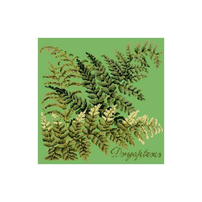 Elizabeth Bradley, Shade Garden, DRYOPTERIS - 16x16 pollici Elizabeth Bradley - 7