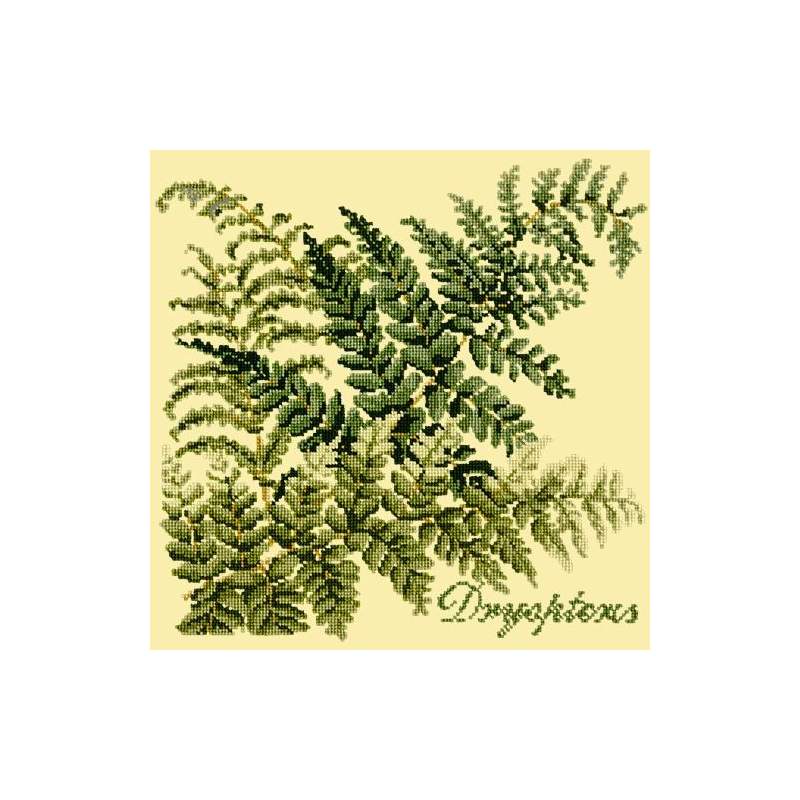 Elizabeth Bradley, Shade Garden, DRYOPTERIS - 16x16 pollici Elizabeth Bradley - 10