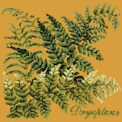 Elizabeth Bradley, Shade Garden, DRYOPTERIS - 16x16 pollici Elizabeth Bradley - 13