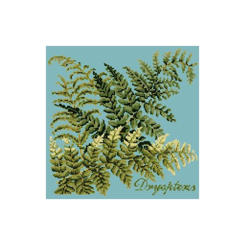Elizabeth Bradley, Shade Garden, DRYOPTERIS - 16x16 pollici Elizabeth Bradley - 15