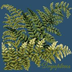 Elizabeth Bradley, Shade Garden, DRYOPTERIS - 16x16 pollici Elizabeth Bradley - 16