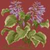 Elizabeth Bradley, Shade Garden, HOSTA ATLANTIS - 16x16 pollici Elizabeth Bradley - 5