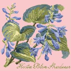 Elizabeth Bradley, Shade Garden, HOSTA BLU SHADOWS - 16x16 pollici Elizabeth Bradley - 2