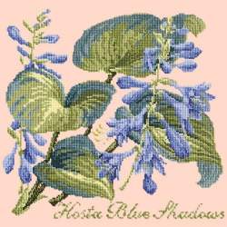 Elizabeth Bradley, Shade Garden, HOSTA BLU SHADOWS - 16x16 pollici Elizabeth Bradley - 3