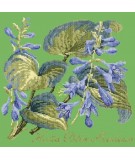 Elizabeth Bradley, Shade Garden, HOSTA BLU SHADOWS - 16x16 pollici Elizabeth Bradley - 7