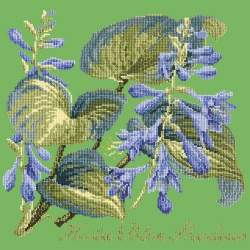 Elizabeth Bradley, Shade Garden, HOSTA BLU SHADOWS - 16x16 pollici Elizabeth Bradley - 7