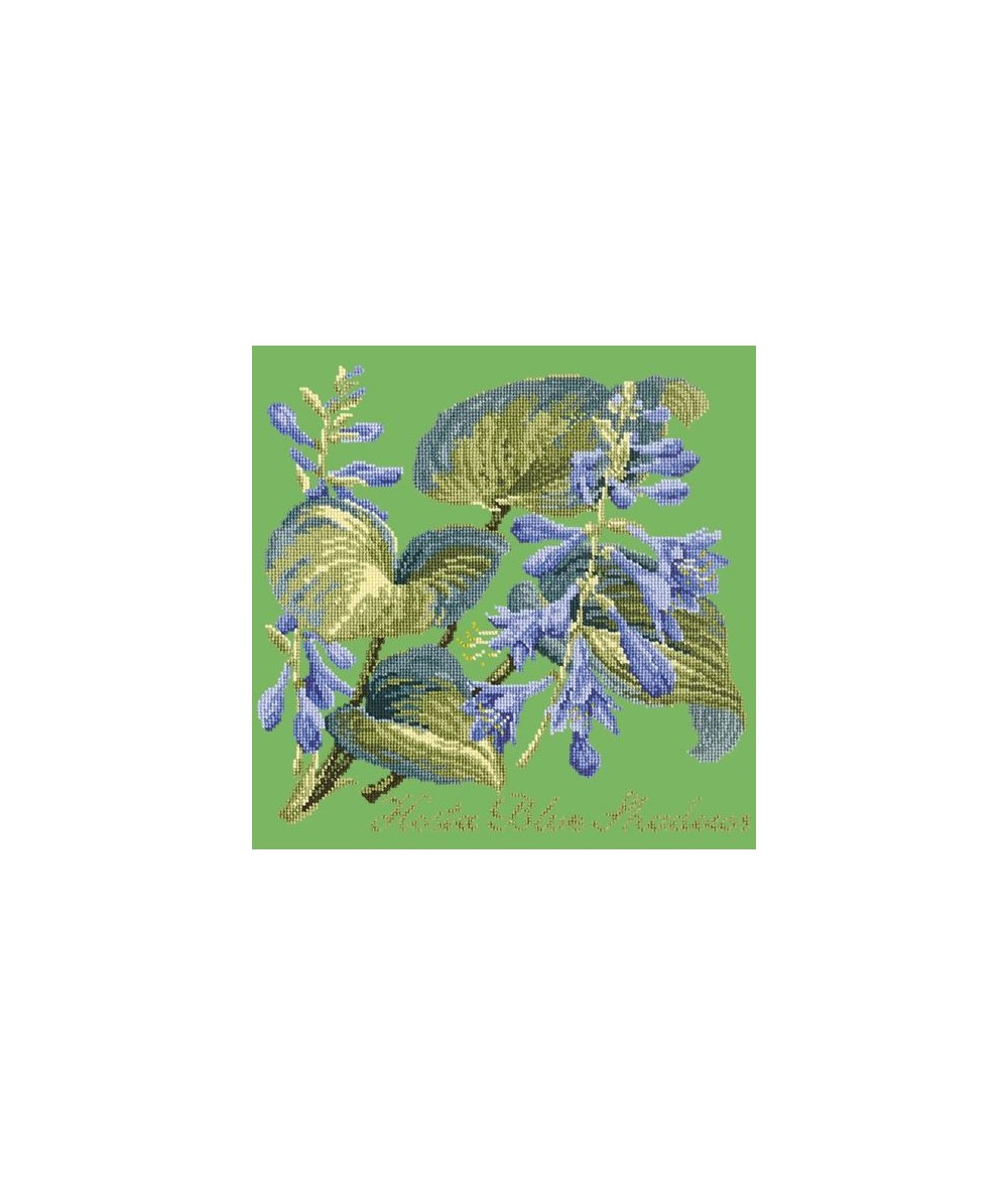 Elizabeth Bradley, Shade Garden, HOSTA BLU SHADOWS - 16x16 pollici Elizabeth Bradley - 7