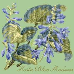 Elizabeth Bradley, Shade Garden, HOSTA BLU SHADOWS - 16x16 pollici Elizabeth Bradley - 9