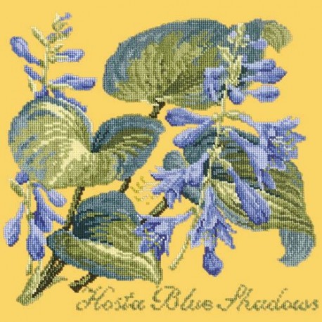 Elizabeth Bradley, Shade Garden, HOSTA BLU SHADOWS - 16x16 pollici Elizabeth Bradley - 11