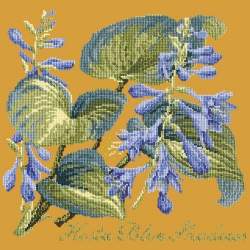 Elizabeth Bradley, Shade Garden, HOSTA BLU SHADOWS - 16x16 pollici Elizabeth Bradley - 13