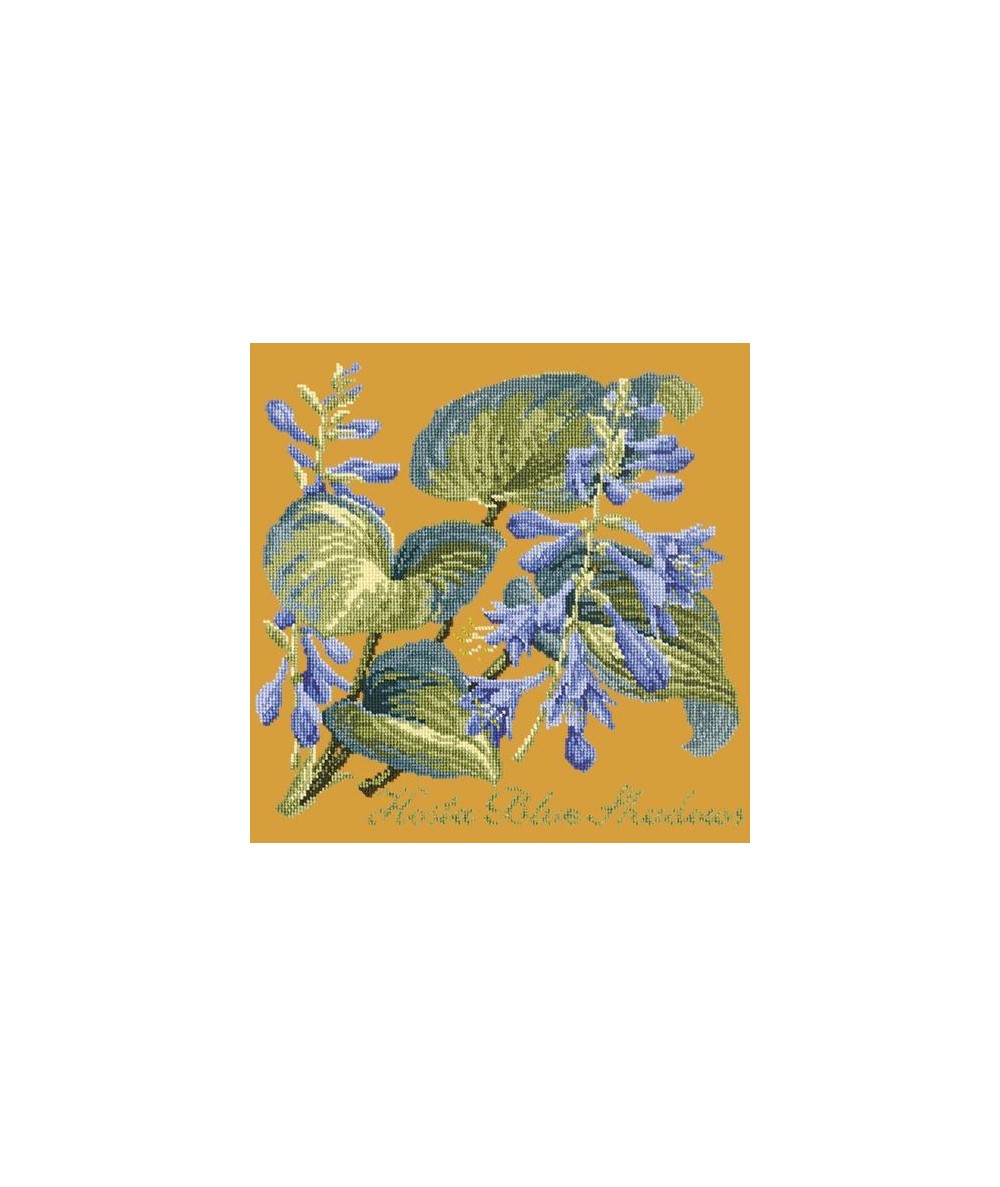 Elizabeth Bradley, Shade Garden, HOSTA BLU SHADOWS - 16x16 pollici Elizabeth Bradley - 13