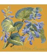 Elizabeth Bradley, Shade Garden, HOSTA BLU SHADOWS - 16x16 pollici Elizabeth Bradley - 13
