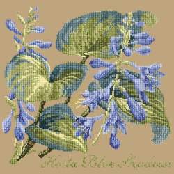 Elizabeth Bradley, Shade Garden, HOSTA BLU SHADOWS - 16x16 pollici Elizabeth Bradley - 17