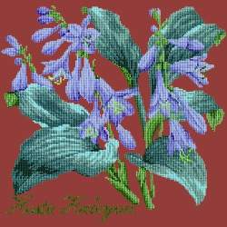 Elizabeth Bradley, Shade Garden, HOSTA HALCYON - 16x16 pollici Elizabeth Bradley - 5