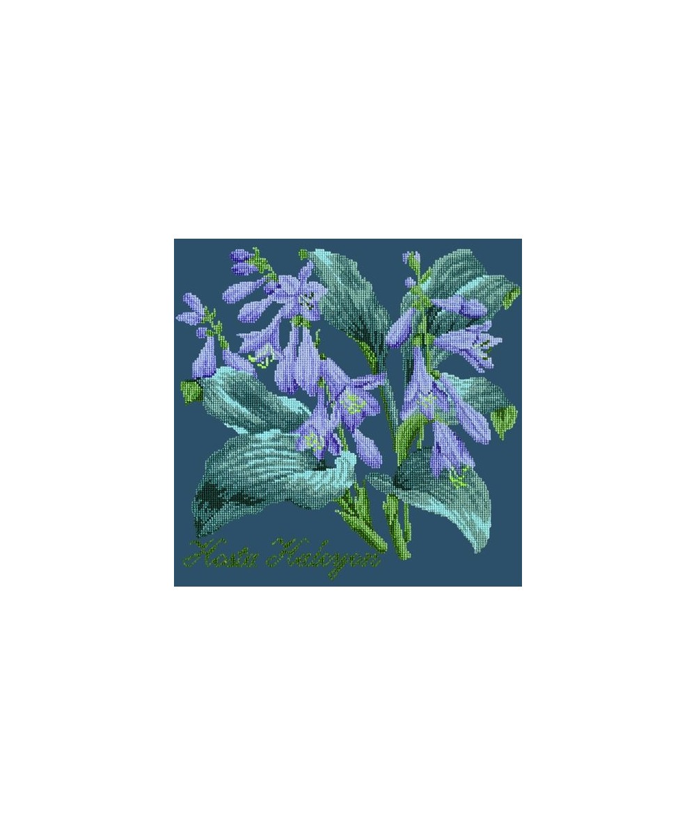 Elizabeth Bradley, Shade Garden, HOSTA HALCYON - 16x16 pollici Elizabeth Bradley - 16
