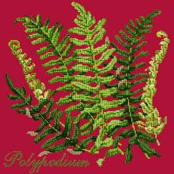 Elizabeth Bradley, Shade Garden, POLYPODIUM - 16x16 pollici Elizabeth Bradley - 4