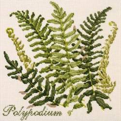Elizabeth Bradley, Shade Garden, POLYPODIUM - 16x16 pollici Elizabeth Bradley - 12