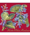 Elizabeth Bradley, Shade Garden, HOSTA BLU SHADOWS - 16x16 pollici Elizabeth Bradley - 4