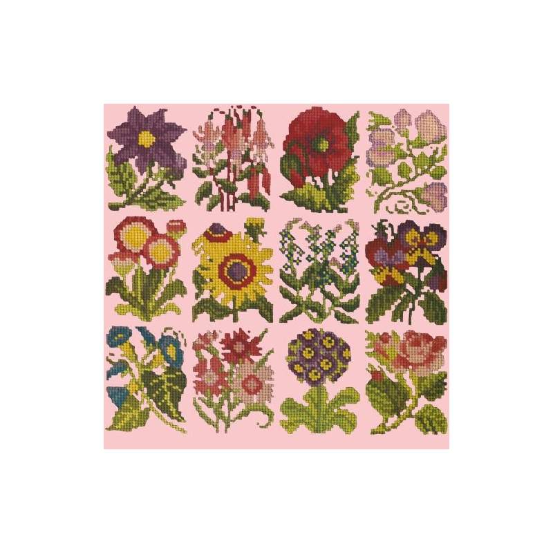Elizabeth Bradley, Floribunda, COTTAGE GARDEN FAVOURITES - 12x12 pollici Elizabeth Bradley - 2