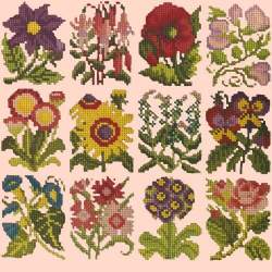 Elizabeth Bradley, Floribunda, COTTAGE GARDEN FAVOURITES - 12x12 pollici Elizabeth Bradley - 3