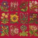 Elizabeth Bradley, Floribunda, COTTAGE GARDEN FAVOURITES - 12x12 pollici Elizabeth Bradley - 4