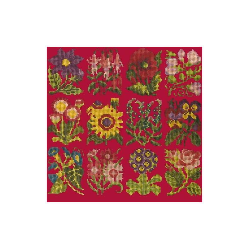 Elizabeth Bradley, Floribunda, COTTAGE GARDEN FAVOURITES - 12x12 pollici Elizabeth Bradley - 4