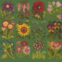 Elizabeth Bradley, Floribunda, COTTAGE GARDEN FAVOURITES - 12x12 pollici Elizabeth Bradley - 6