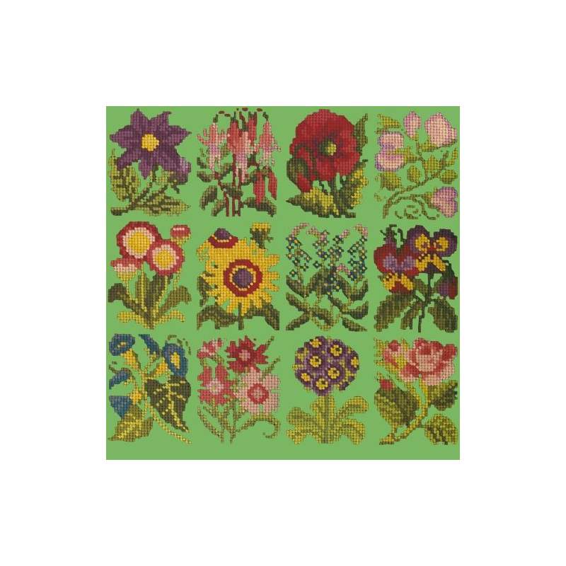 Elizabeth Bradley, Floribunda, COTTAGE GARDEN FAVOURITES - 12x12 pollici Elizabeth Bradley - 7