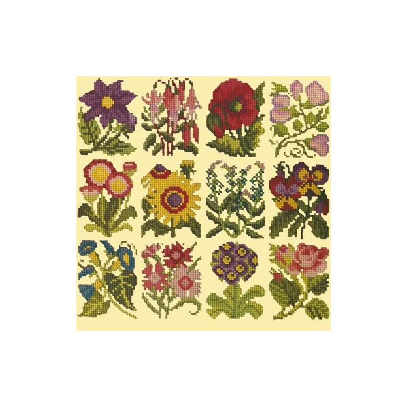 Elizabeth Bradley, Floribunda, COTTAGE GARDEN FAVOURITES - 12x12 pollici Elizabeth Bradley - 10