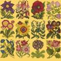 Elizabeth Bradley, Floribunda, COTTAGE GARDEN FAVOURITES - 12x12 pollici Elizabeth Bradley - 11