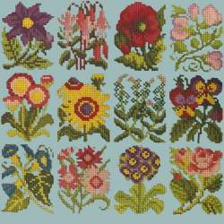 Elizabeth Bradley, Floribunda, COTTAGE GARDEN FAVOURITES - 12x12 pollici Elizabeth Bradley - 14