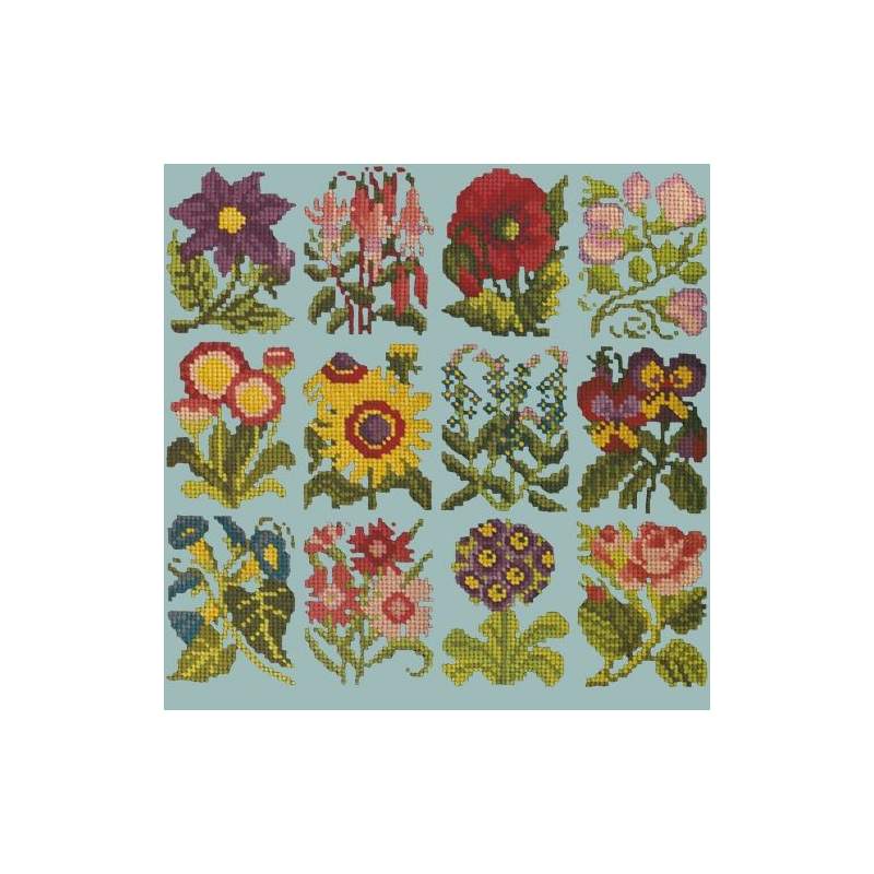 Elizabeth Bradley, Floribunda, COTTAGE GARDEN FAVOURITES - 12x12 pollici Elizabeth Bradley - 14
