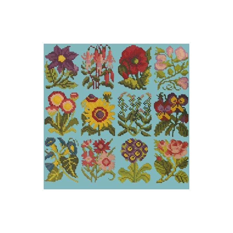Elizabeth Bradley, Floribunda, COTTAGE GARDEN FAVOURITES - 12x12 pollici Elizabeth Bradley - 15