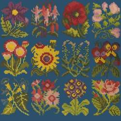 Elizabeth Bradley, Floribunda, COTTAGE GARDEN FAVOURITES - 12x12 pollici Elizabeth Bradley - 16