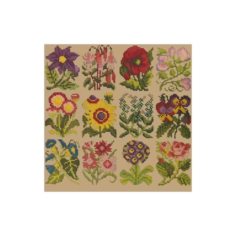 Elizabeth Bradley, Floribunda, COTTAGE GARDEN FAVOURITES - 12x12 pollici Elizabeth Bradley - 17