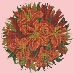 Elizabeth Bradley, Floribunda, LILY BALL - 12x12 pollici Elizabeth Bradley - 2