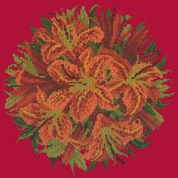 Elizabeth Bradley, Floribunda, LILY BALL - 12x12 pollici Elizabeth Bradley - 4