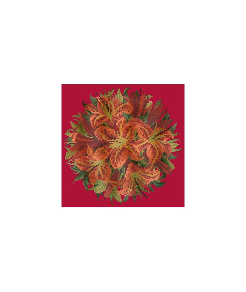 Elizabeth Bradley, Floribunda, LILY BALL - 12x12 pollici Elizabeth Bradley - 4
