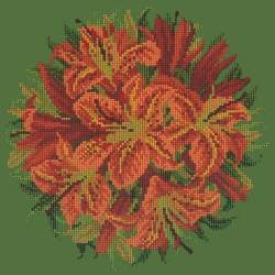 Elizabeth Bradley, Floribunda, LILY BALL - 12x12 pollici Elizabeth Bradley - 6
