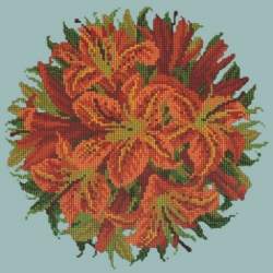 Elizabeth Bradley, Floribunda, LILY BALL - 12x12 pollici Elizabeth Bradley - 14