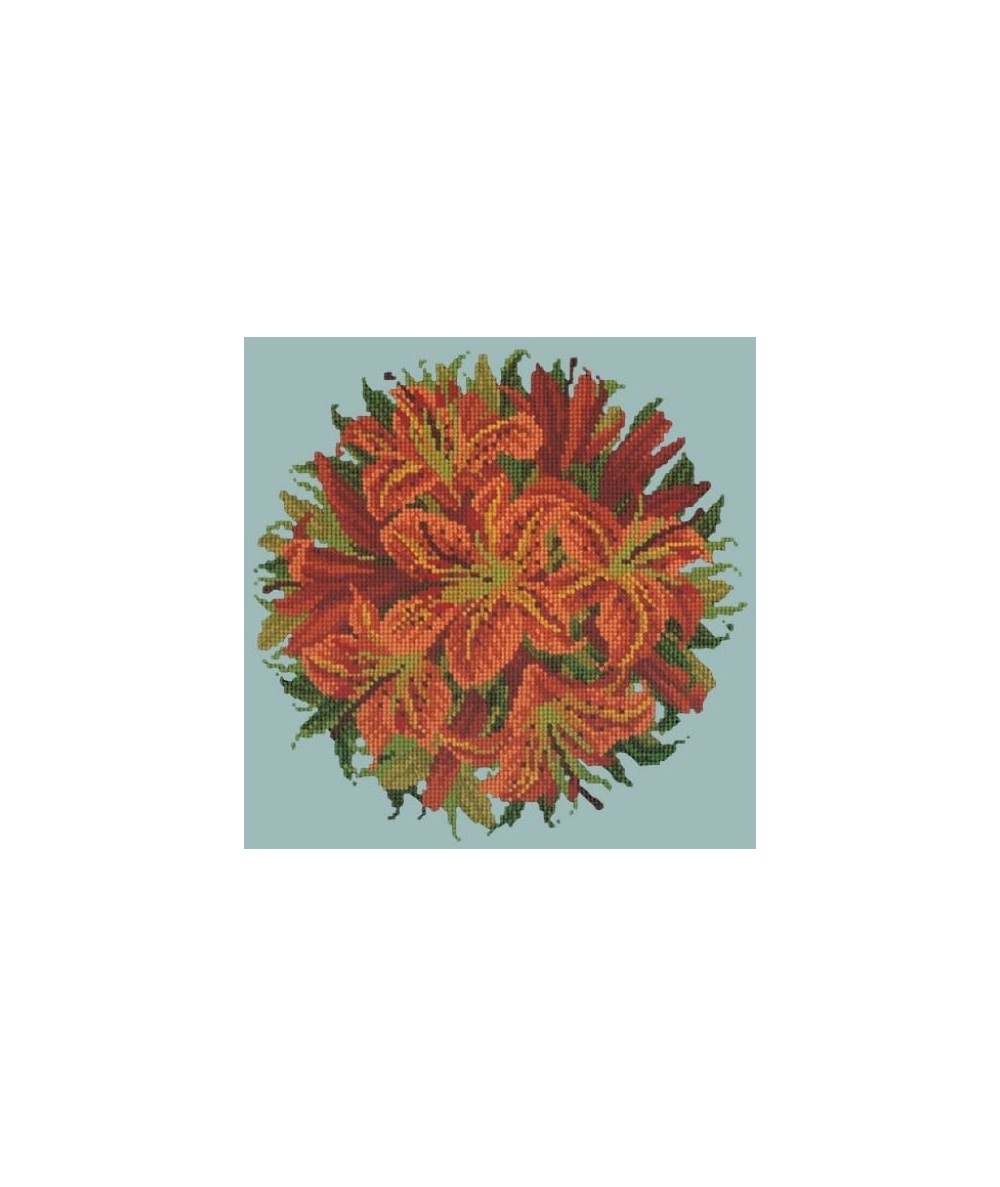 Elizabeth Bradley, Floribunda, LILY BALL - 12x12 pollici Elizabeth Bradley - 14