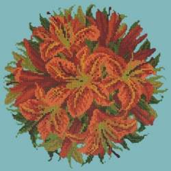 Elizabeth Bradley, Floribunda, LILY BALL - 12x12 pollici Elizabeth Bradley - 15