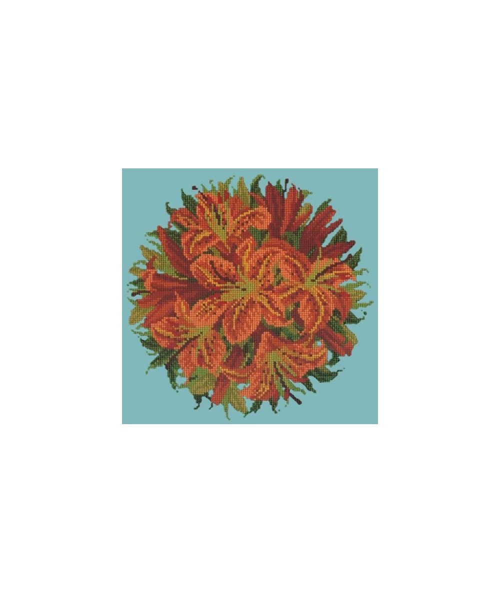Elizabeth Bradley, Floribunda, LILY BALL - 12x12 pollici Elizabeth Bradley - 15