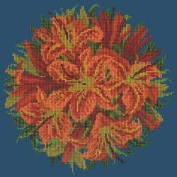 Elizabeth Bradley, Floribunda, LILY BALL - 12x12 pollici Elizabeth Bradley - 16
